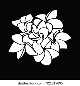 frangipani silhouettes for design vector