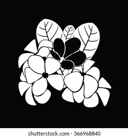frangipani silhouettes for design vector