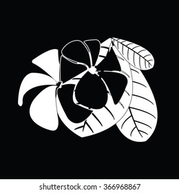 frangipani silhouettes for design vector