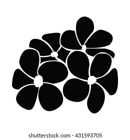 frangipani silhouettes for design vector