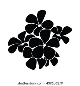 frangipani silhouettes for design vector