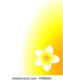Frangipani summer background with plenty of copy space.