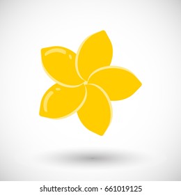 Frangipani vector flat icon, Flat design of plumeria flower with round shadow, vector illustration