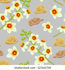 Frankincense blossoming flower seamless pattern vector. Beautiful boswellia tree flowers with incense bits, on grey background. For greetings and postcards, textile, prints, decoration, wallpaper.