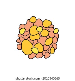 Frankincense сolor line icon. Essential oils fruit seeds. Pictogram for web page, mobile app, promo. UI UX GUI design element. Editable stroke.