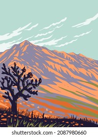 Franklin Mountains State Park with Cactus Located in El Paso Texas USA Poster Art
