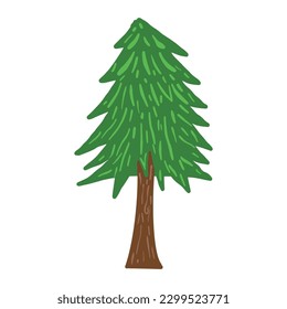 Fraser Fir tree ,good for graphic design resources, prints, banners, posters, pamflets, cover books, and more.