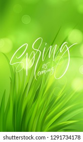 Frash Spring green grass background with handwriting lettering. Vector illustration EPS10