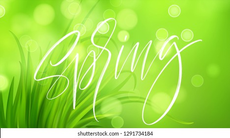Frash Spring green grass background with handwriting lettering. Vector illustration EPS10