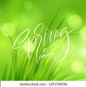 Frash Spring green grass background with handwriting lettering. Vector illustration EPS10