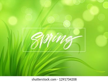 Frash Spring green grass background with handwriting lettering. Vector illustration EPS10