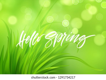 Frash Spring green grass background with handwriting lettering. Vector illustration EPS10