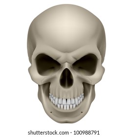 Freaky Human Skull. The emotion of anger. Illustration on white.