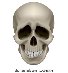 Freaky Human Skull. The emotion of sadness. Illustration on white.