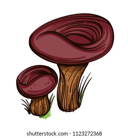 Freckles, edible forest mushrooms. Vector illustration isolated on white background.