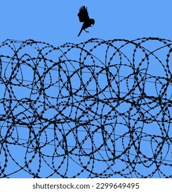 A free bird is about to land on Razor wire, contstantino wire, barbed wire of a prison and is seen in front of a blue sky in this background image.