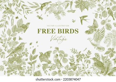 Free Birds. Card. Vector vintage illustration. Green 