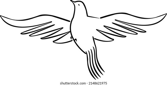 free dove flying high with long tail, pigeon vector