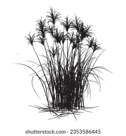 	
Free download grass, plant, tree, silhouette vector