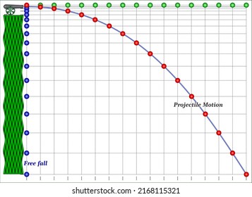 Free Fall And Projectile Motion