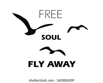 Free flock of bird. Fly away