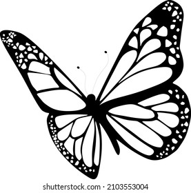 free to fly butterfly shape slogan