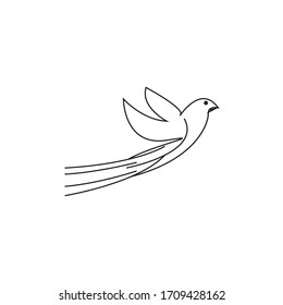 free flying bird logo template