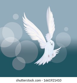 Dove Flying Images, Stock Photos & Vectors | Shutterstock