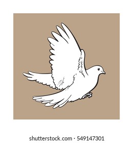 Free flying white dove, sketch style vector illustration isolated on brown background. Realistic hand drawing of white dove, pigeon flapping wings, symbol of love, romance and innocence, marriage icon