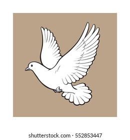 Free flying white dove, sketch style vector illustration isolated on brown background. Realistic hand drawing of white dove, pigeon flapping wings, symbol of love, romance and innocence, marriage icon