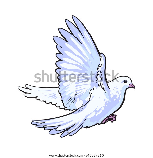 Free Flying White Dove Sketch Style Stock Vector Royalty Free