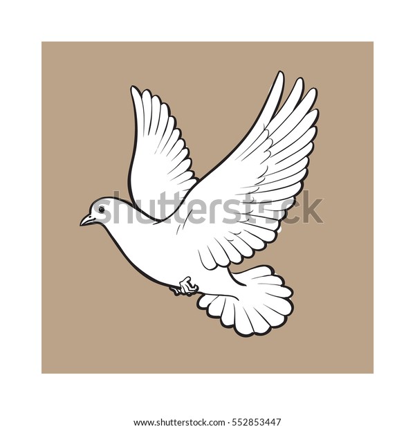 茶色の背景に空の白い鳩 スケッチスタイルのベクターイラスト 白いハト ハトの羽ばたき 愛の象徴 ロマンスと無邪気さ 結婚のアイコンのリアルな手描き のベクター画像素材 ロイヤリティフリー Shutterstock