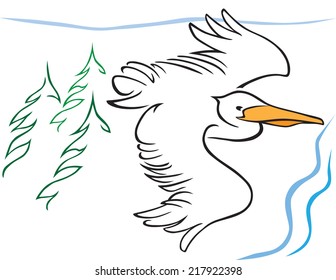 Free Form Pelican