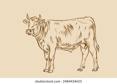 Free hand brown line drawing of a cow on light brown background