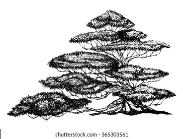 free hand drawing big tree, vector illustration design