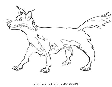 a free hand drawn, clean editable vector representing a fox