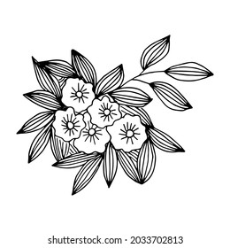 Free hand drawn floral arrangement element in doodle or sketch style. For greeting card, poster, invitation, coloring book page.