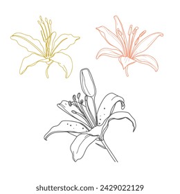 Arte de vector de flor dibujado a mano libre