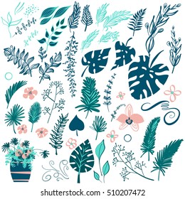 Free hand drawn vector floral set with leaves and flowers isolated on white background