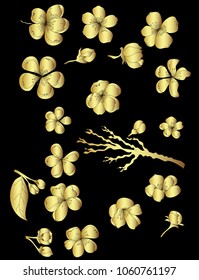 Free hand Gold Sakura flower vector set, Beautiful line art golden Peach blossom isolate on black background.Japanese cherry blossom isolate set.