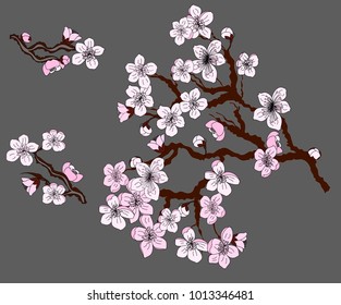 Free hand Sakura flower vector set, Beautiful line art Peach blossom isolate on white background