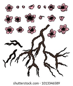 Free hand Sakura flower vector set, Beautiful line art Peach blossom isolate on white background