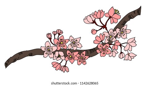 Free hand Sakura flower vector set, Beautiful line art Peach blossom isolate on white background
