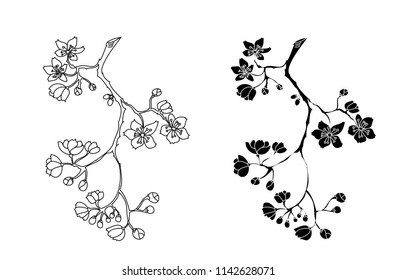 Free hand Sakura flower vector set, Beautiful line art Peach blossom isolate on white background
