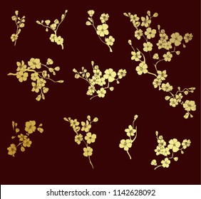 Free Hand Sakura Flower Vector Set, Beautiful Line Art Peach Blossom Isolate On White Background