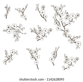 Free hand Sakura flower vector set, Beautiful line art Peach blossom isolate on white background