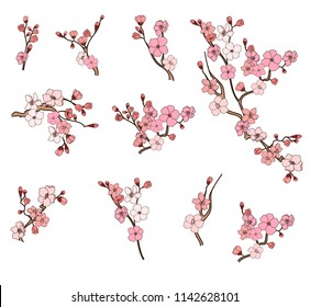 Free hand Sakura flower vector set, Beautiful line art Peach blossom isolate on white background