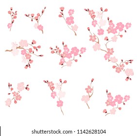 Free hand Sakura flower vector set, Beautiful line art Peach blossom isolate on white background