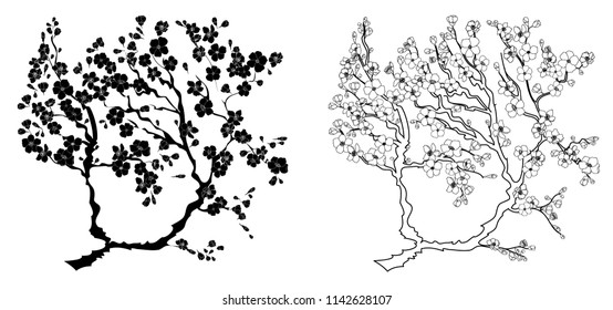 Free hand Sakura flower vector set, Beautiful line art Peach blossom isolate on white background