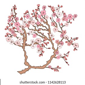 Free hand Sakura flower vector set, Beautiful line art Peach blossom isolate on white background